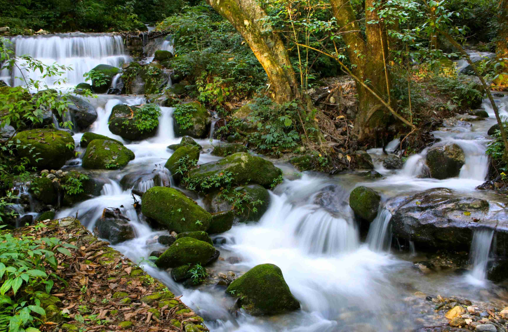 5 Best Places in Kathmandu You Have to Visit 4 best places in kathmandu: Shivapuri Nagarjun National Park