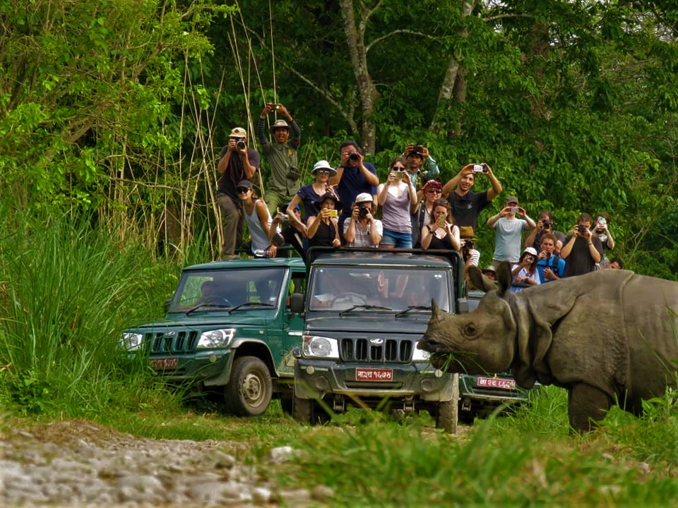 GoMyGo: Online Bus Ticket Booking Nepal | Bus Ticket Book Garum Gharmai Basera 8 image 5
